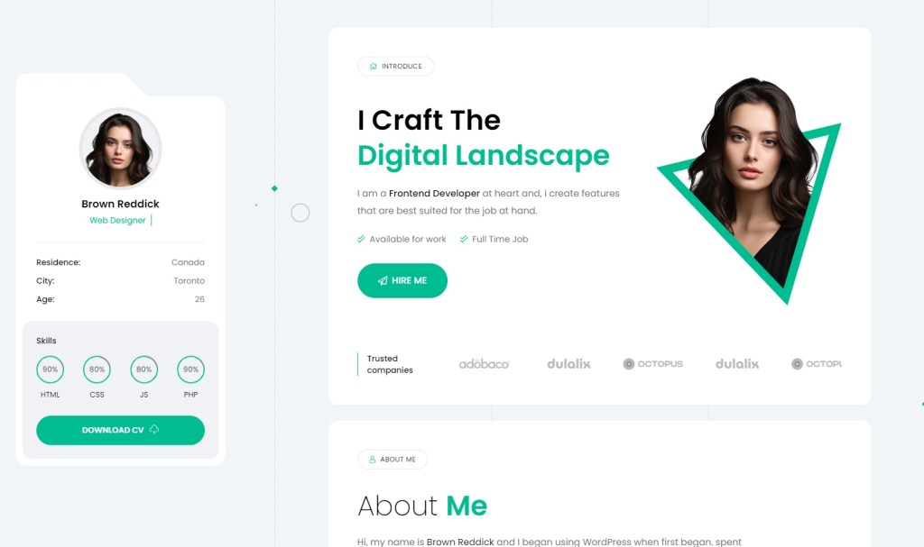 Minfo Best Personal Website Template for Software Engineer home page 